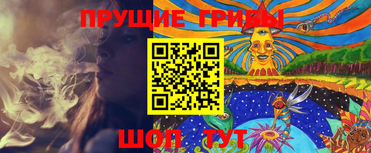 Галлюциногенные грибы Cubensis Тула