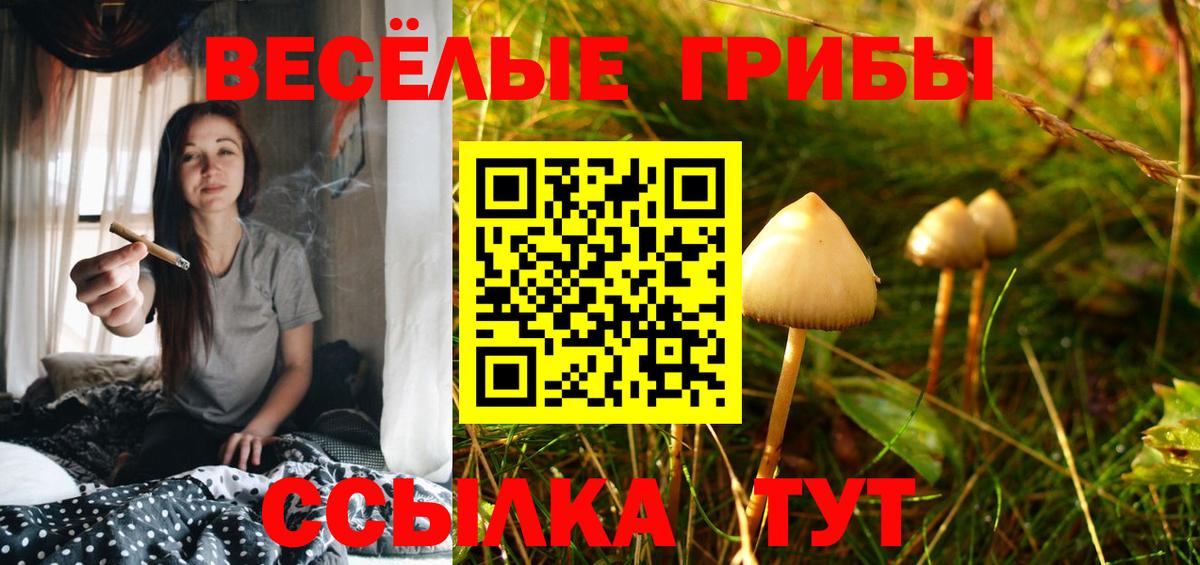 Тула  Галлюциногенные грибы мицелий  Вход с VPN 