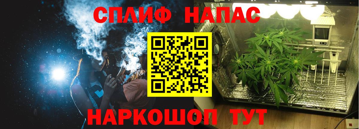 Каннабис LSD WEED  Вход с VPN  Тула  Каннабис сатива  МАРИХУАНА планчик 